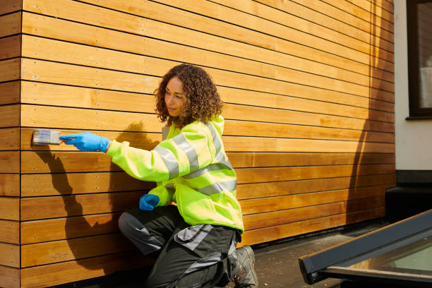 Best Stone Veneer Siding  in Hebbronville, TX